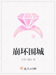 崩坏围城