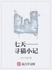 七天&mdash;&mdash;寻猫小记